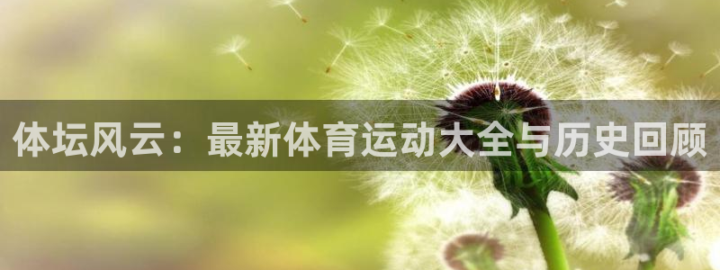 必一运动体育官网