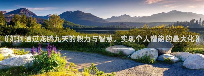 bsport必一运动：《如何通过龙腾九天的毅力与智慧，实现个人潜能的最大化》