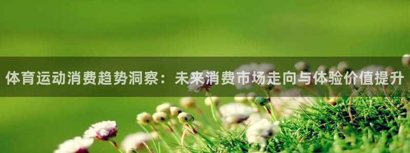 b体育必一运动官网：体育运动消费趋势洞察：未来消费市场走向与体验价值提升