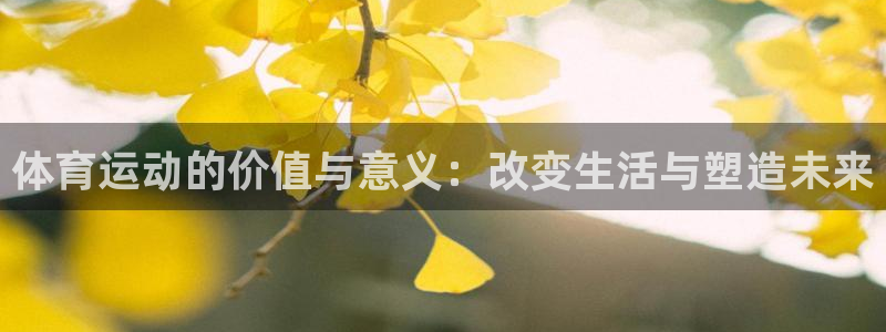 b体育必一运动官网