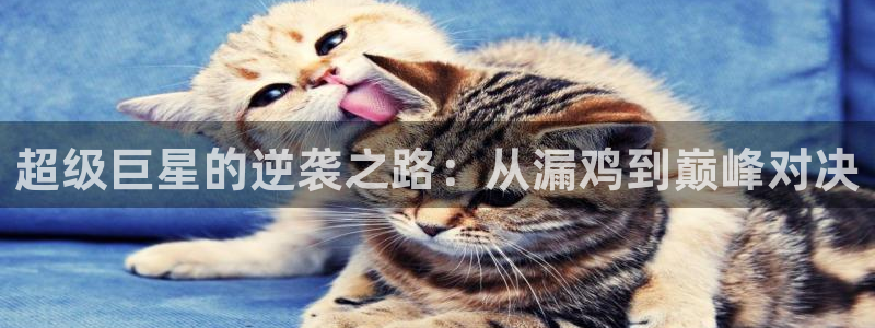 必一运动官网入口