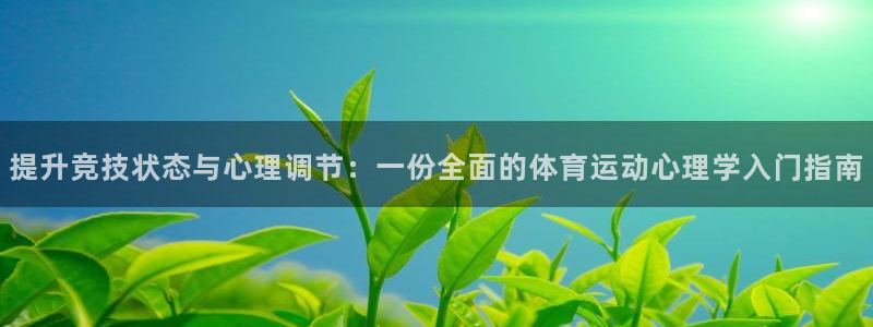 必一运动bsport体育